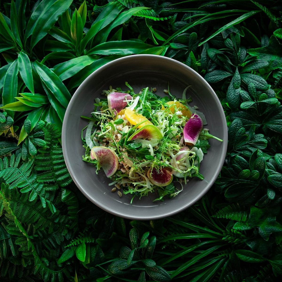 Grain and frisee salad with watermelon radish and orange in a grey bowl on dark green foliage