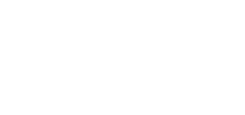 Wildcat Branding and Design